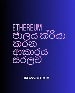 Ethereum ජාලය ක්‍රියා කරන ආකාරය සරලව පැහැදිලි කරන දෘශ්‍යයක්.