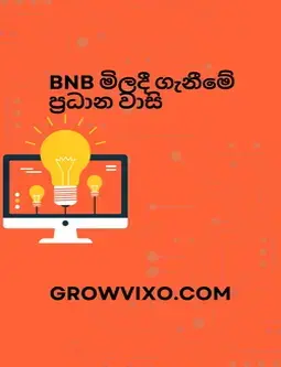 BNB මිලදී ගැනීම සහ විකිණීම | Binance Coin Sinhala