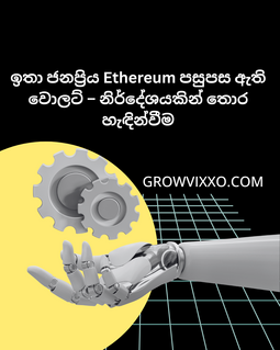 නිර්දේශයකින් තොරව ඉතා ජනප්‍රිය Ethereum වොලට් එකක් හඳුන්වා දෙන දෘශ්‍යයක්.