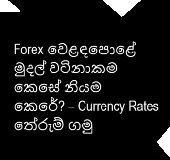 "Forex වෙළඳපොළේ මුදල් වටිනාකම ආර්ථික හා දේශපාලන සාධක මත ස්වයංක්රීයව නියම වේ."