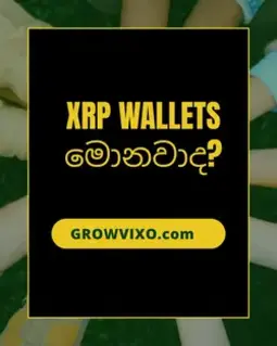 XRP ක්‍රිප්ටෝ වොලට්ස් පිළිබඳ අධ්‍යාපනික ශීර්ෂයක් වන ‘XRP Wallets මොනවාද?