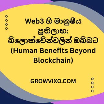 "විමධ්‍යගත අන්තර්ජාලය තුළ පරිශීලක දත්ත හිමිකාරිත්වය සහ පෞද්ගලිකත්ව ආරක්ෂාව නිරූපණය කරන සංකල්ප රූපය"