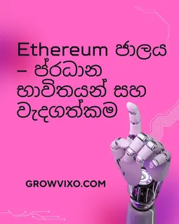 Ethereum ජාලයේ Settlement සංකල්පය පැහැදිලි කරන දෘශ්‍යයක්.