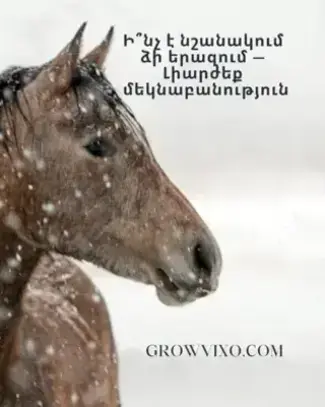 Սև ձի երազում — լրացուցիչ զգուշացնող հաղորդագրություններ