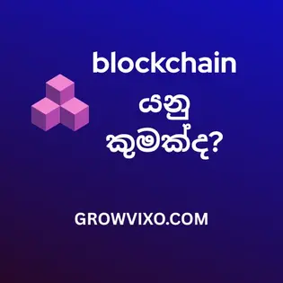 Blockchain ආරක්ෂිත data ගබඩා කිරීමේ ව්‍යුහ රූපය