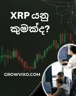 Ripple XRP cryptocurrency, XRP wallet, XRP blockchain, ගනුදෙනු ක්‍රම සහ ආරක්ෂාව