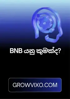 BNB Binance Coin logo, BNB මිලදී ගැනීම, Sinhala crypto guide