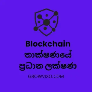 Blockchain තාක්ෂණයේ ප්‍රධාන ලක්ෂණ: transparency, ආරක්ෂාව සහ decentralized system